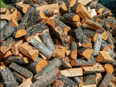 Дрова ольховые